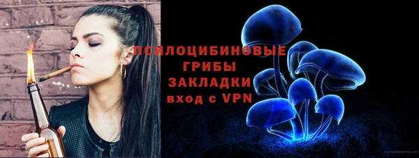 твердый Дмитров