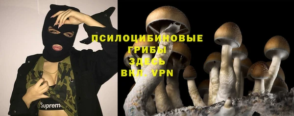 ешки Дмитровск