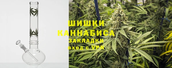 твердый Дмитров
